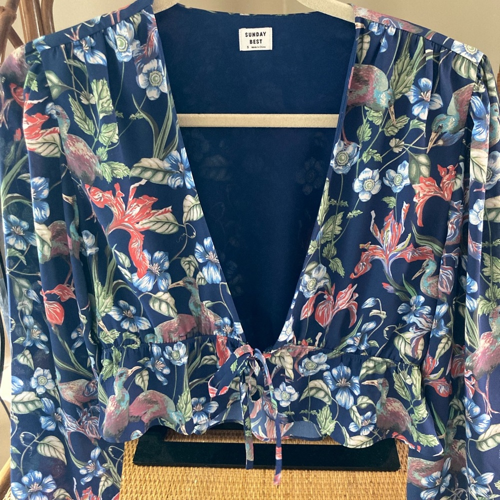 Aritzia Blouse